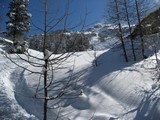 Ski tracks in fresh snow